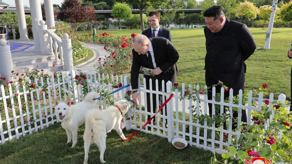 putin-kim-skyloi