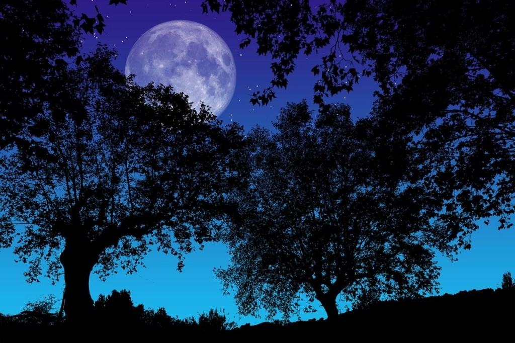the-night-4684899_1280