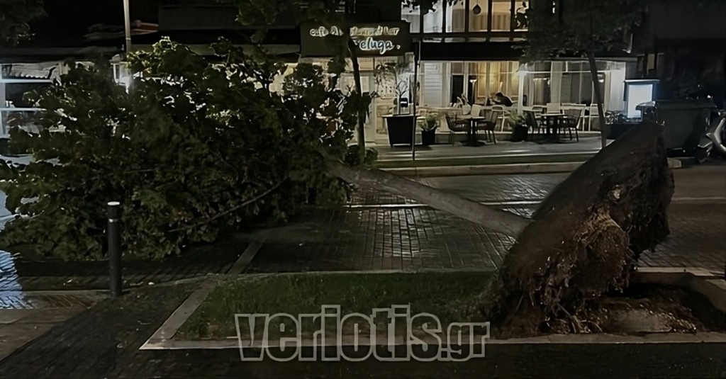 veroia_0-transformed