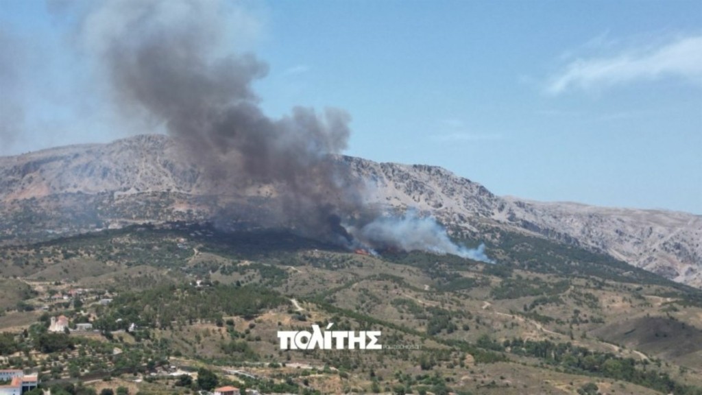 xios-fotia-new