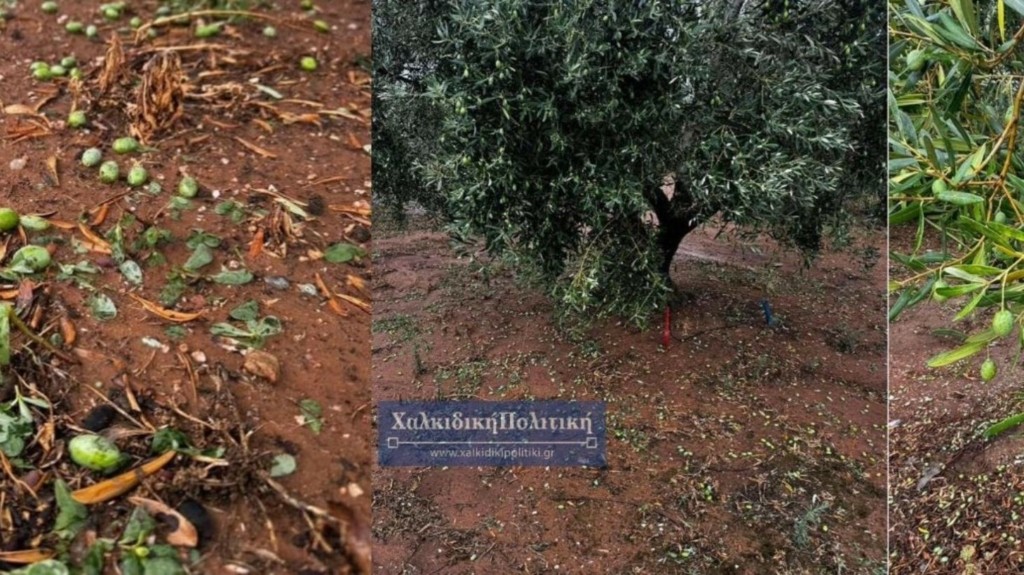 XALKIDIKH