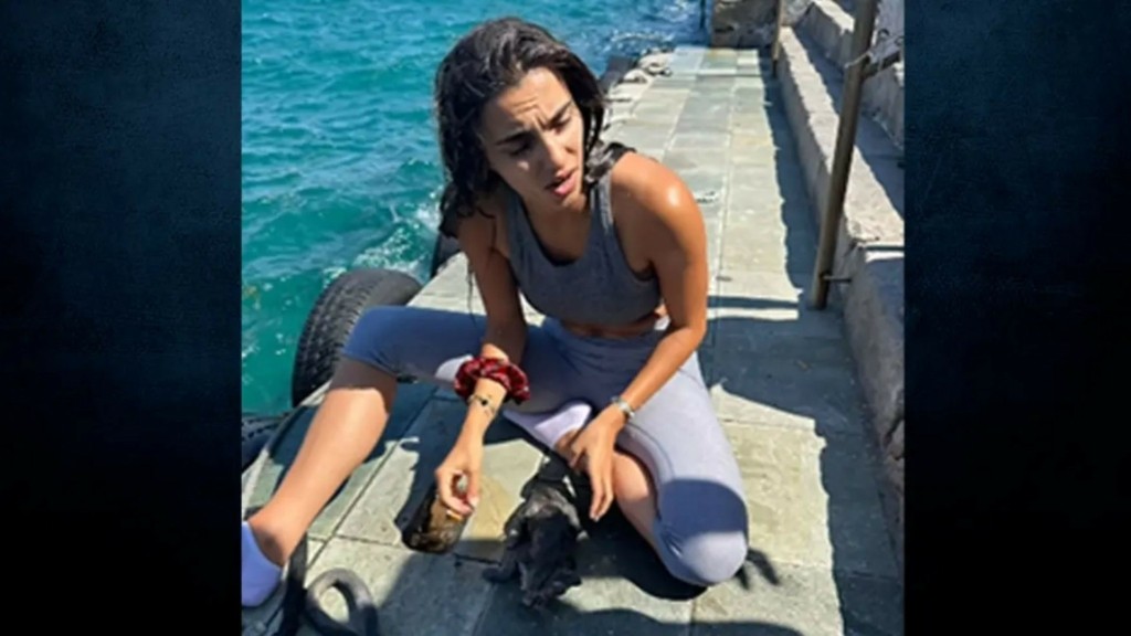 gataki_Spetses2