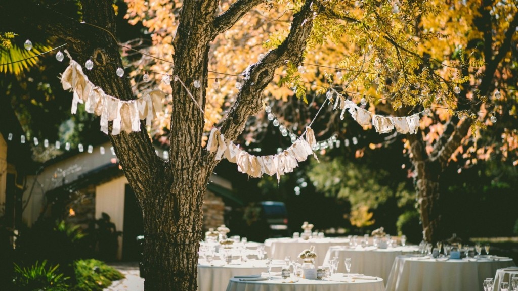 party_unsplash