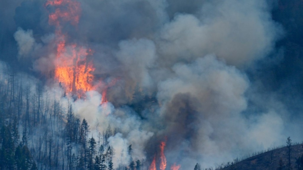 ColoradoWildfires