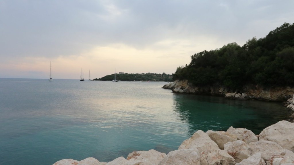 paxoi-new