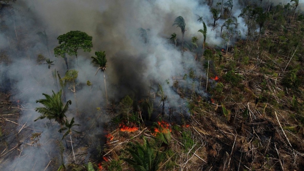 amazon_rainforest_new