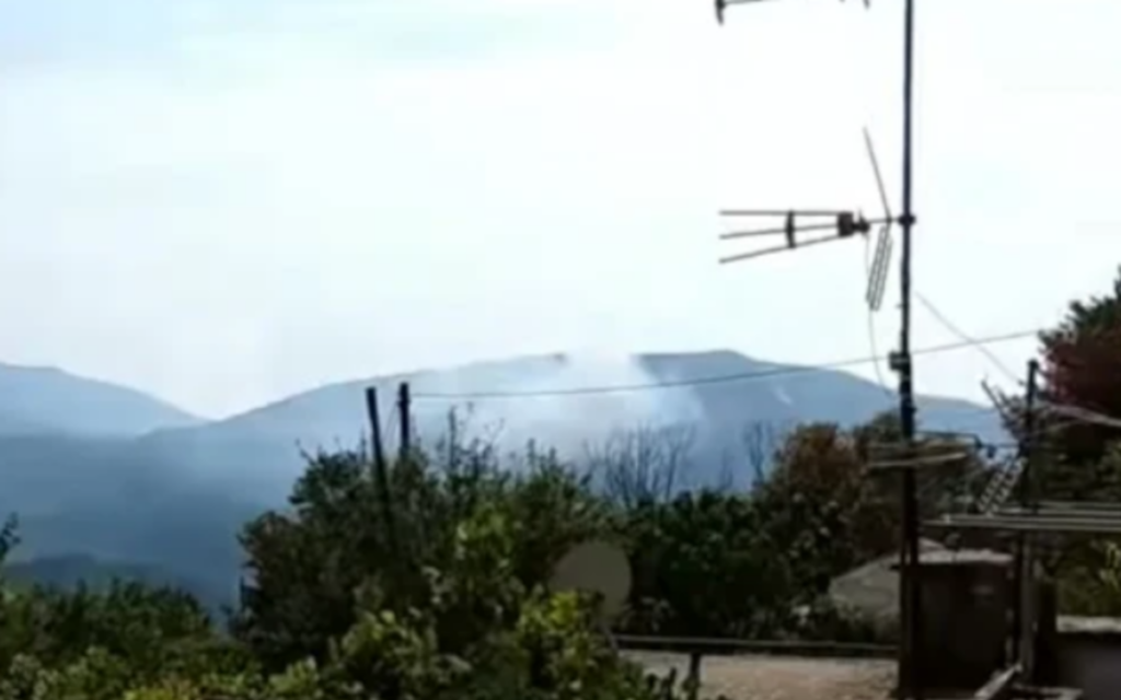 fotia-ampelonas