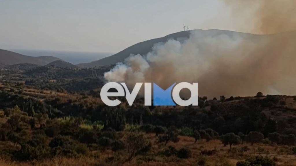 fwtia-evia221