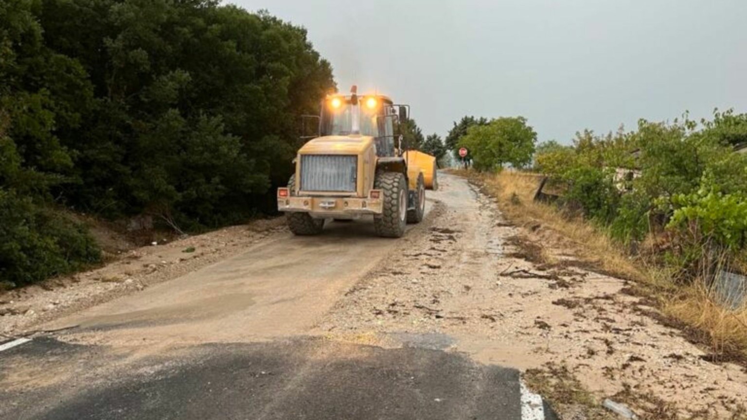 O furtună puternică lovește Kozani, Larissa și Trikala: provocând distrugerea recoltei și întreruperi de curent și apă O furtună puternică lovește Kozani, Larissa și Trikala: provocând distrugerea recoltei și întreruperi de curent și apă