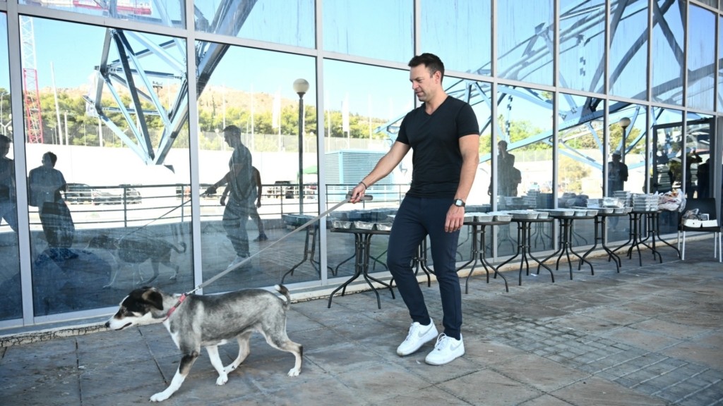 kasselakis_dog_new