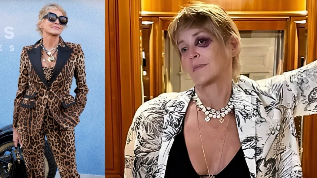 sharon-stone-new (2)