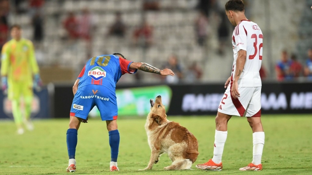 skylos-gipedo-olympiakos-volos