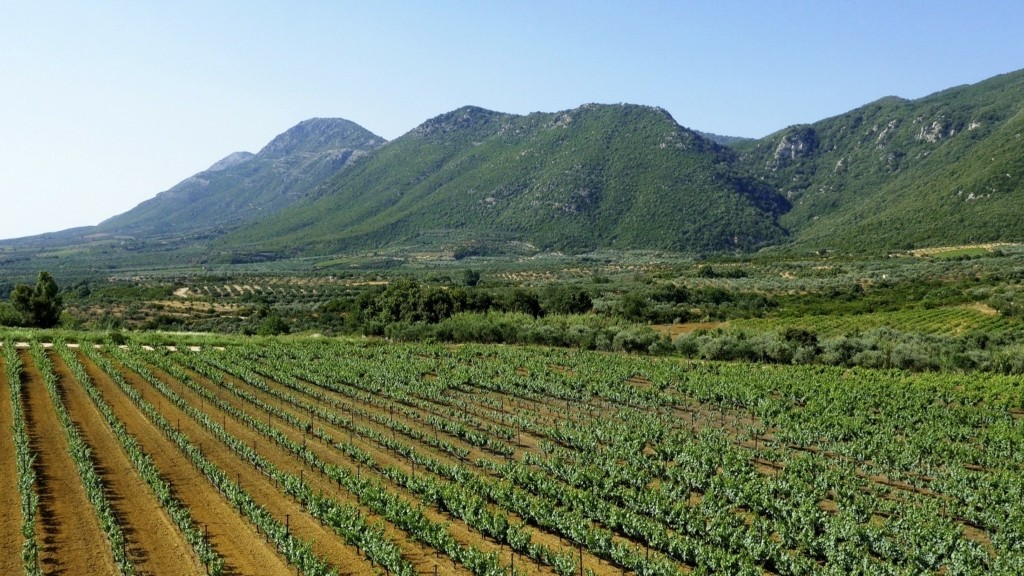 Navarino Vineyards
