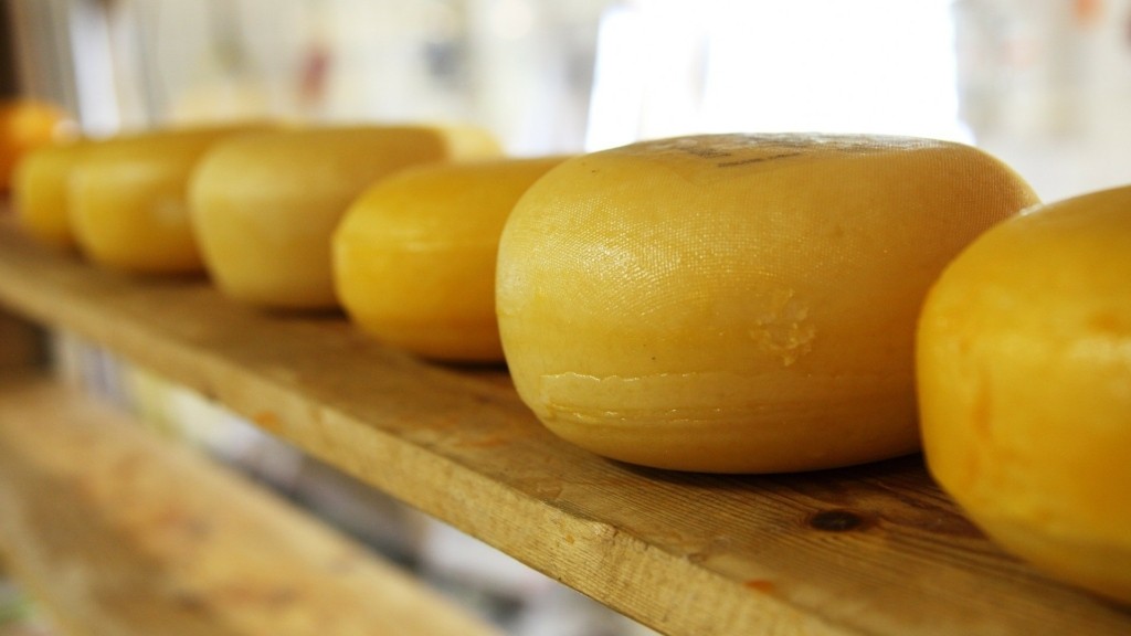 cheese-new