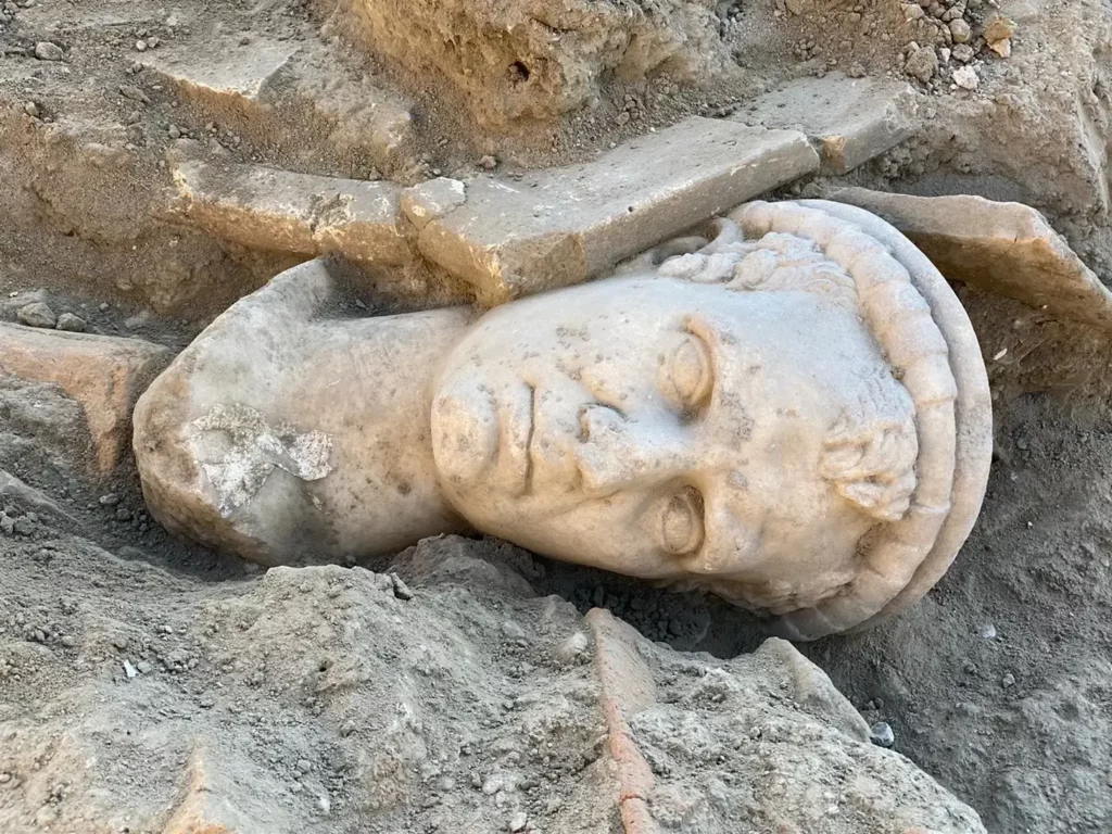 tourkia agalma (1)