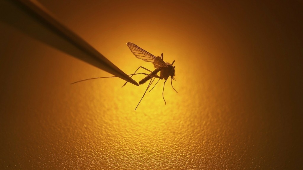 west-nile_1209_1460-820_new