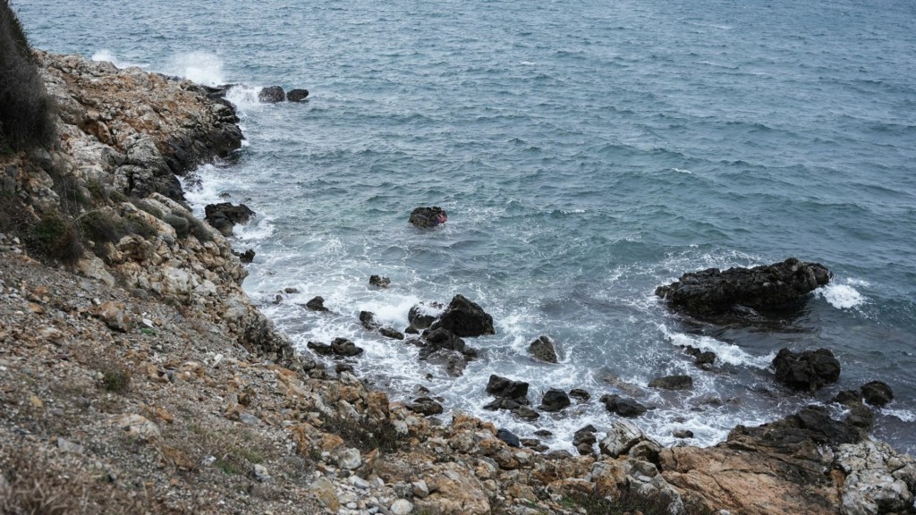 NAYAGIO_METANASTES