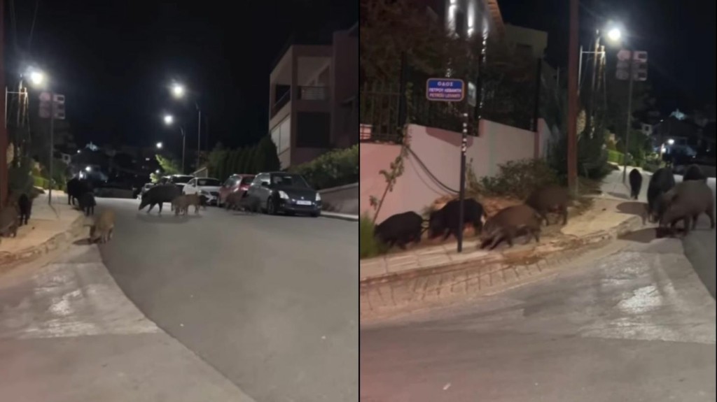 agriogourouna_panorama_new