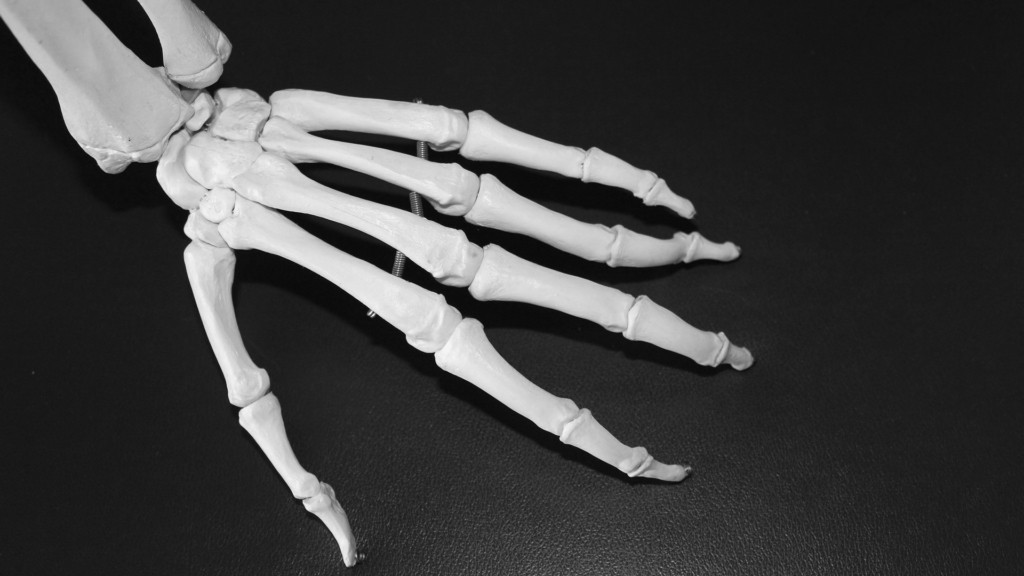 bones_new