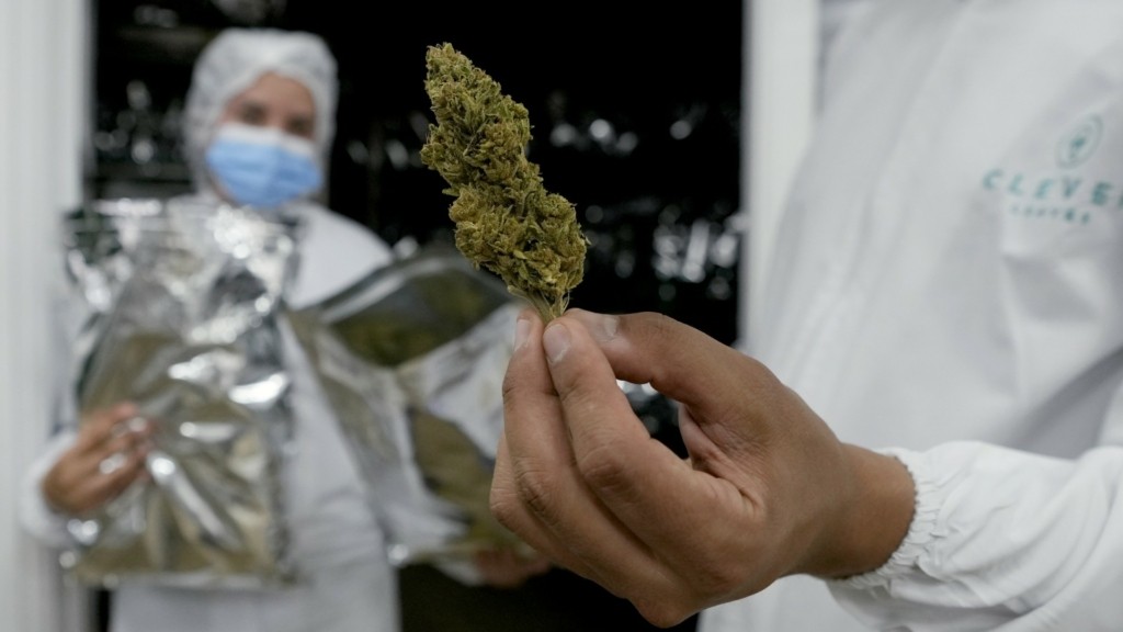 medical_cannabis