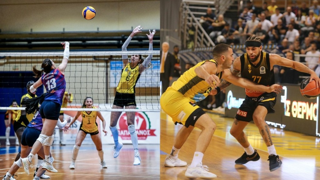 volley_basket_new