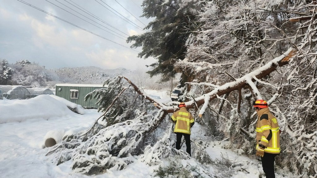 SOUTHKOREA_SNOW