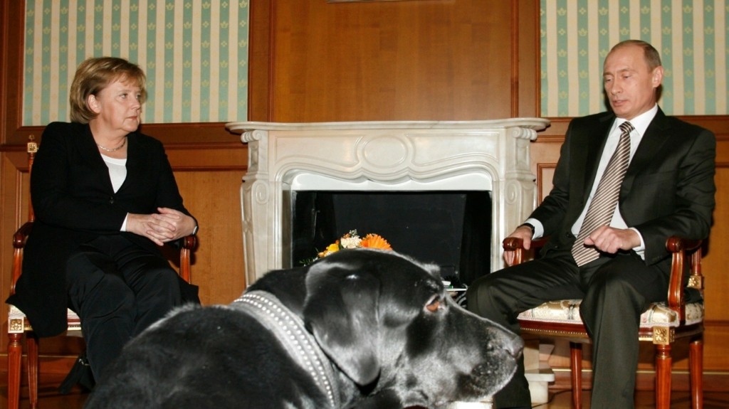 merkel putin dog