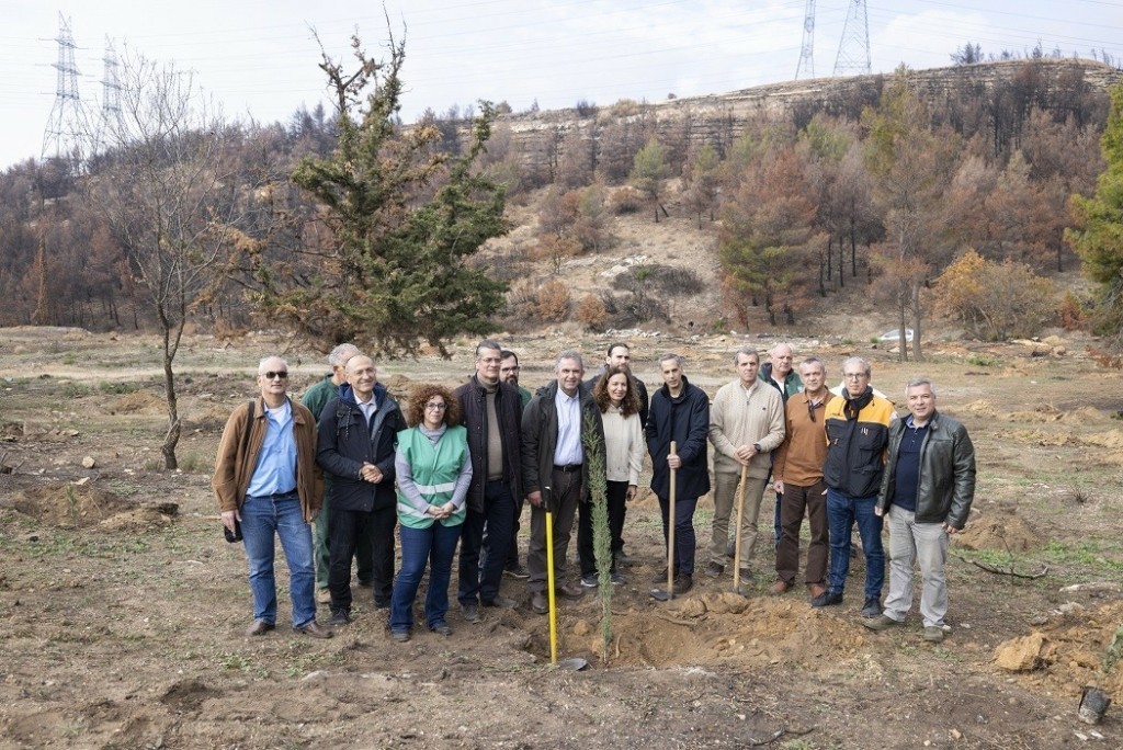 Photo 2_Στιγμιότυπο από την Αναδάσωση της Ιεράς Μονής Πεντέλης