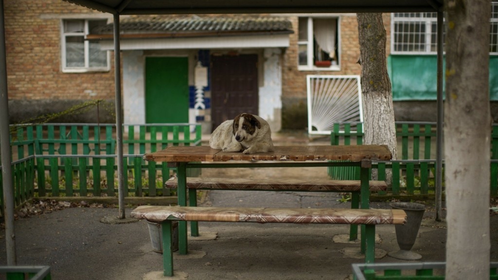chernobyl_dog_1012_1920-1080_new