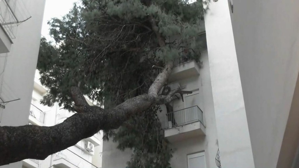 thessaloniki-dentro-polykatoikia-bora
