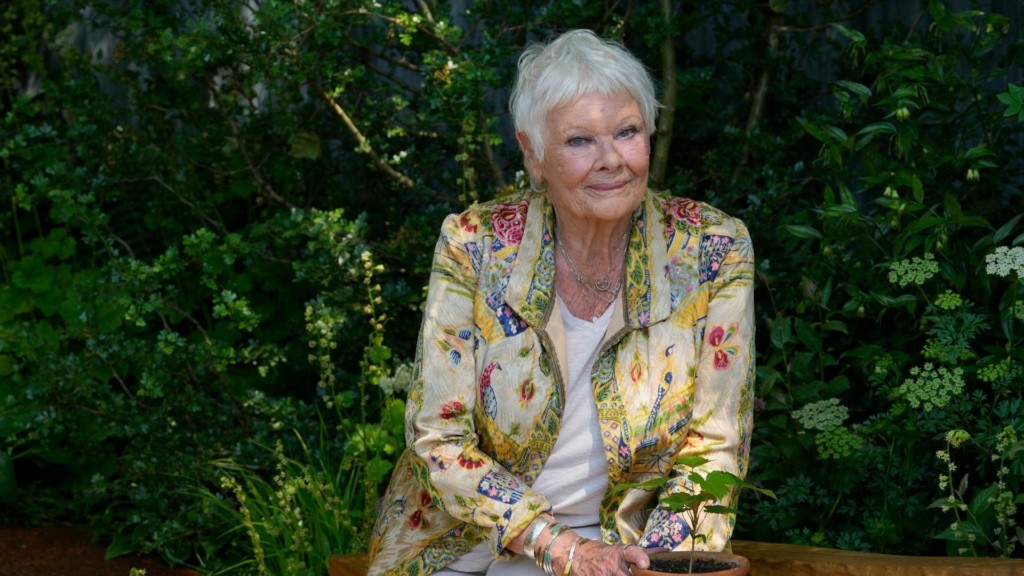 Judi_Dench_ap