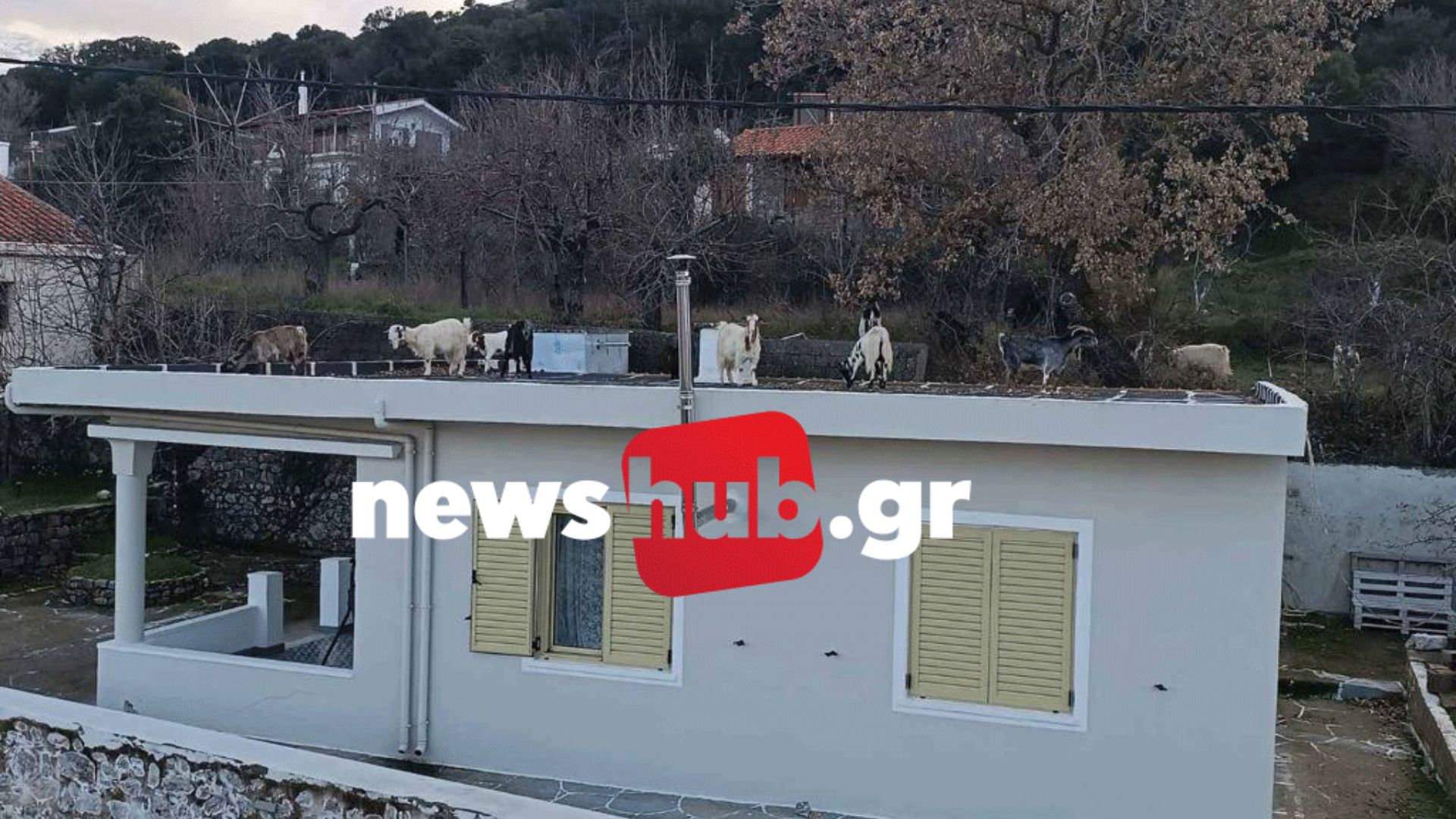 Ο Τσιάρας, η Κρήτη, οι αγρότες και τα … κατσίκια στο σπίτι της οικογένειας του Ανδρουλάκη