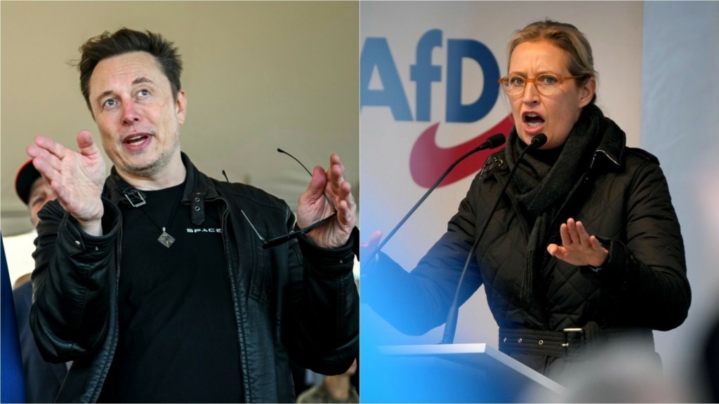 musk_weidel