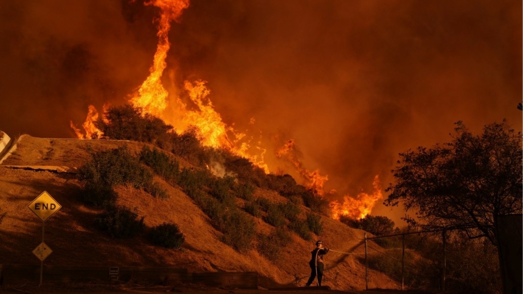 pyrkagia los angeles