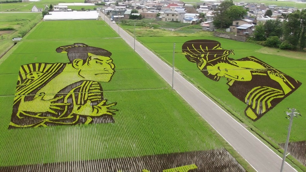 rice-paddy-art_1601_1920-1080_new