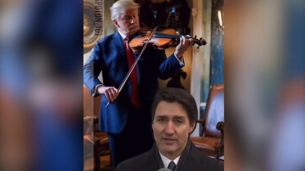 trump violi