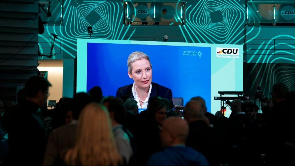 afd_german_elections