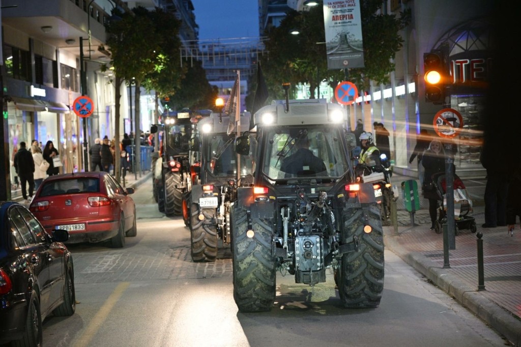 agrotes-larisa-12