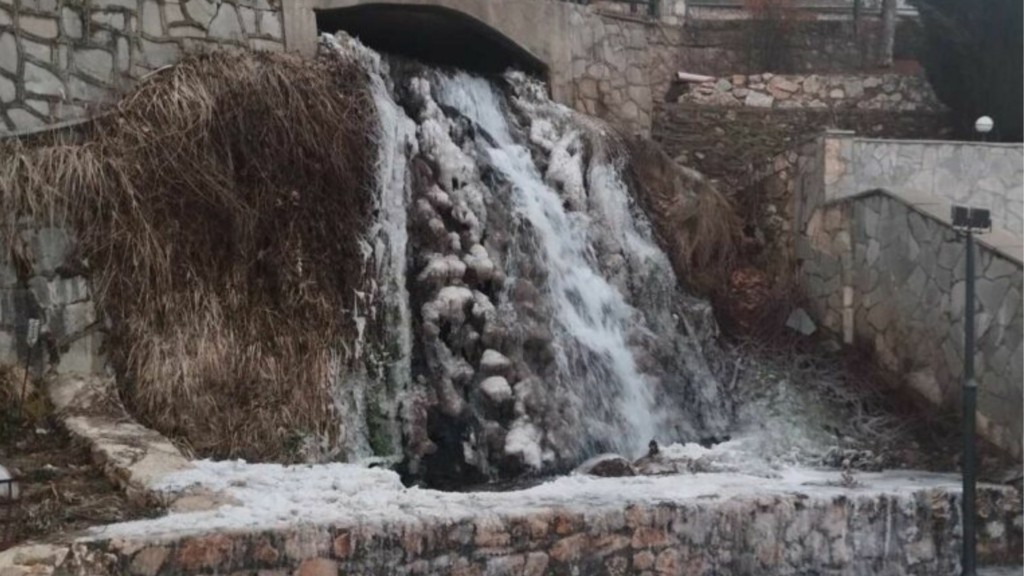 florina new