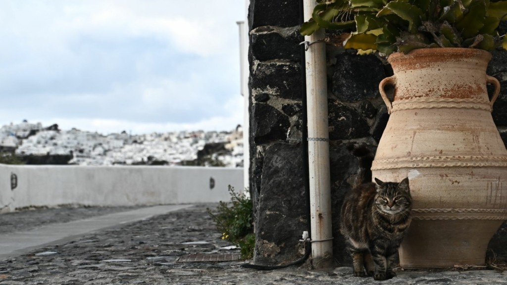 santorini 8876- new