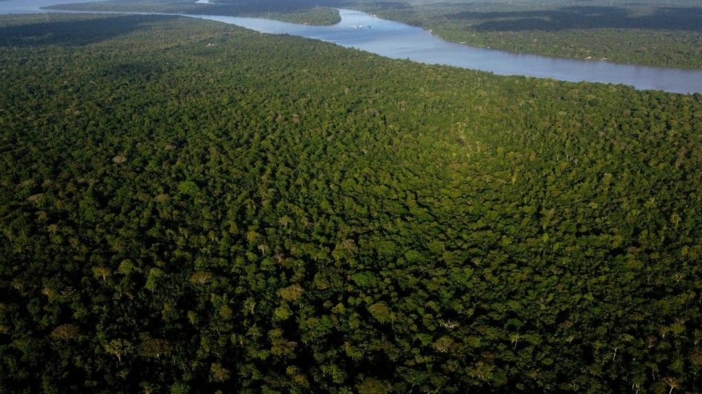 amazonios
