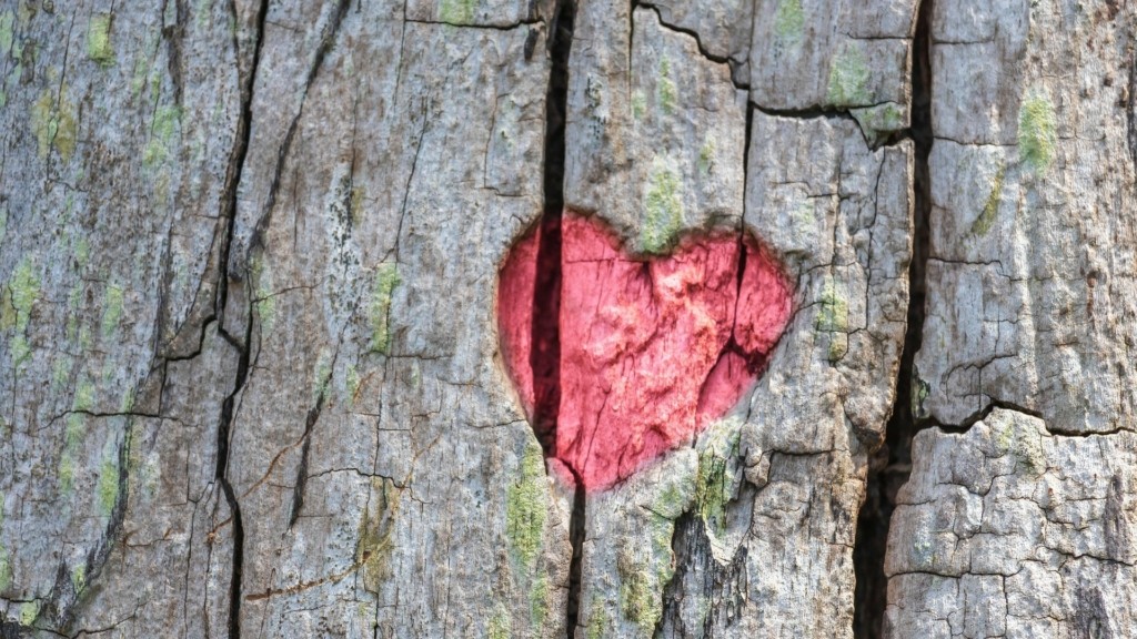 heart-new