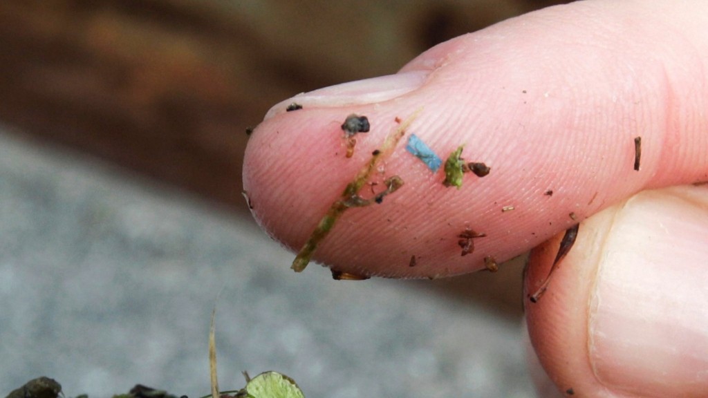 microplastics new