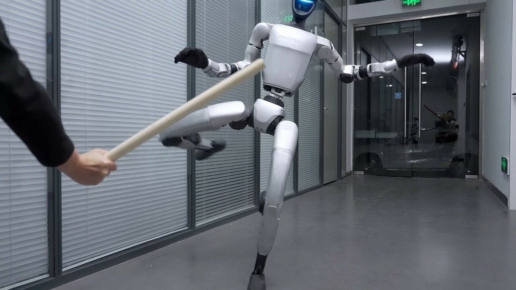 robot-kung-fu