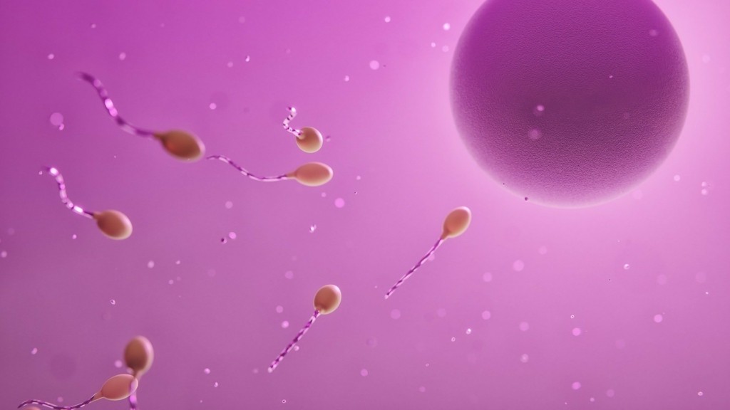 spermatozoaria_2703_1920-1080_new