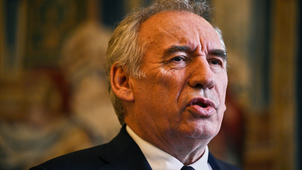 bayrou 8876- new