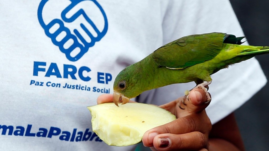 farc