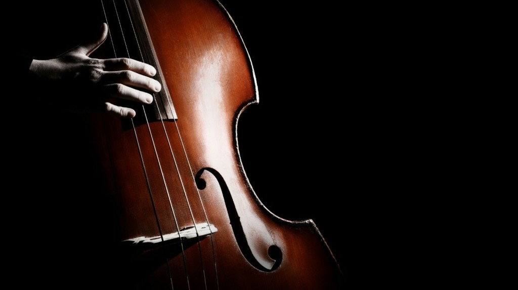 contra bass