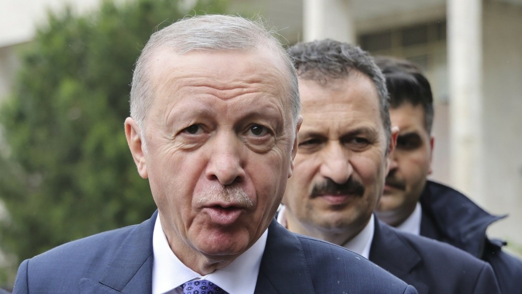 erdogan-diloseis