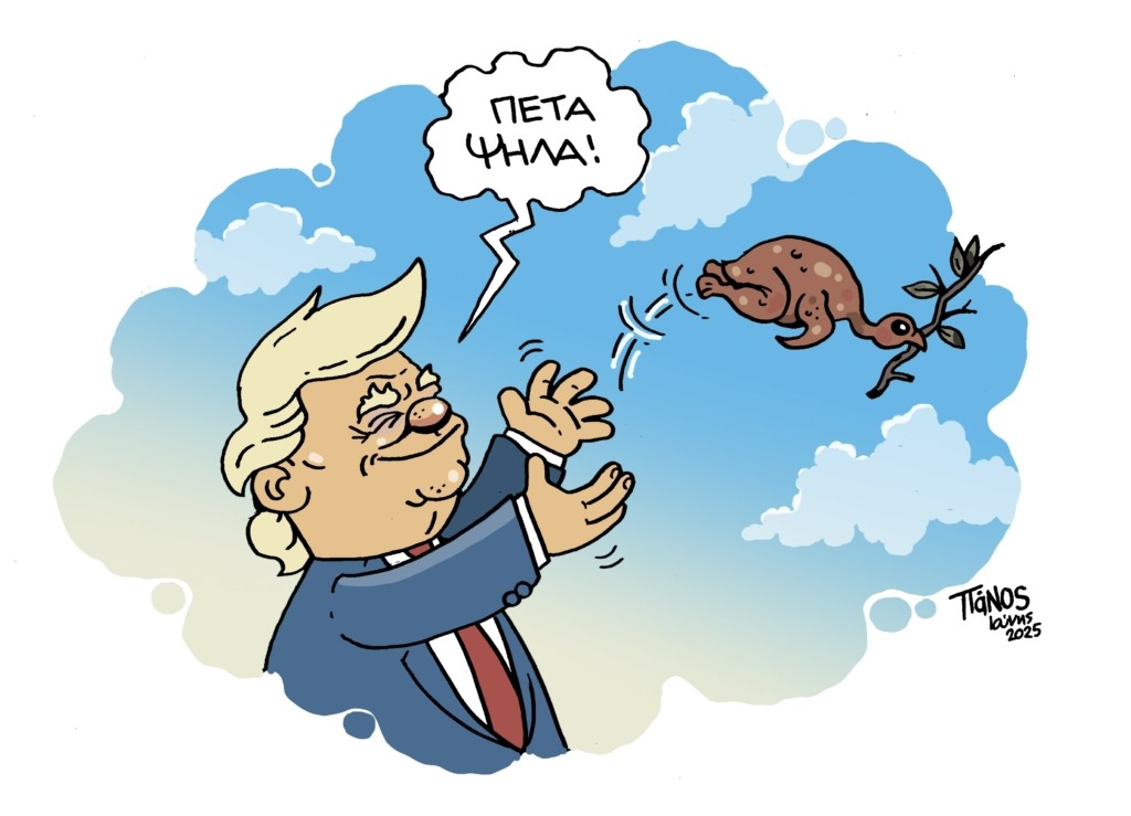 flyhigh